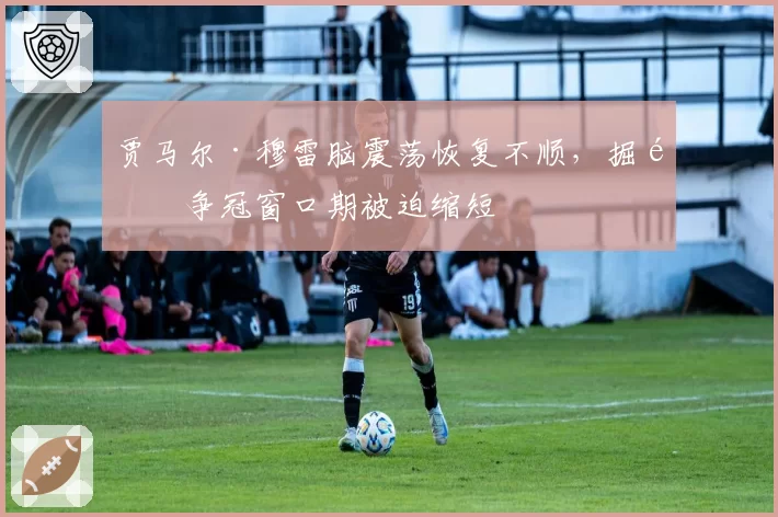 贾马尔·穆雷脑震荡恢复不顺,掘金争冠窗口期被迫缩短