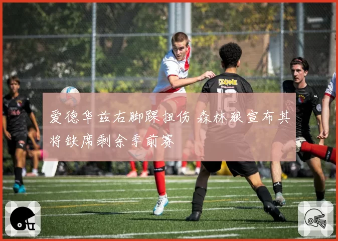 爱德华兹右脚踝扭伤 森林狼宣布其将缺席剩余季前赛