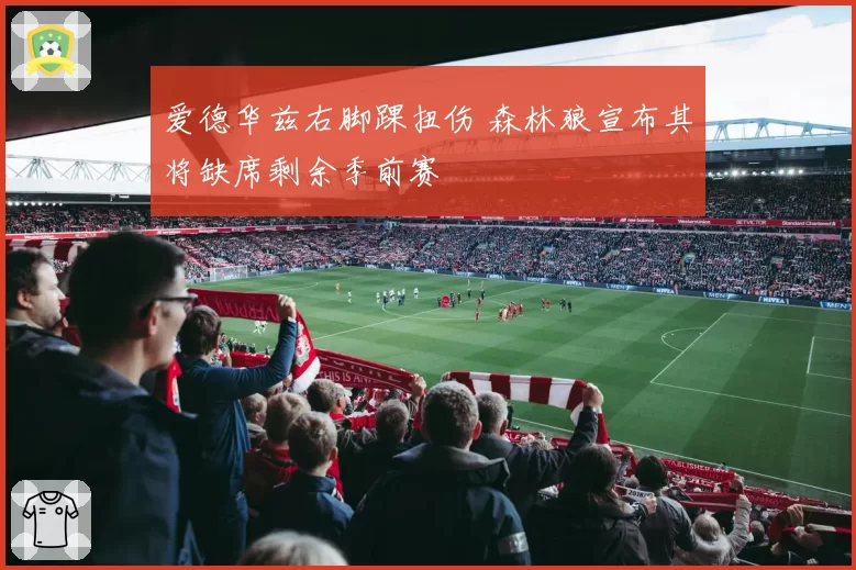 爱德华兹右脚踝扭伤 森林狼宣布其将缺席剩余季前赛