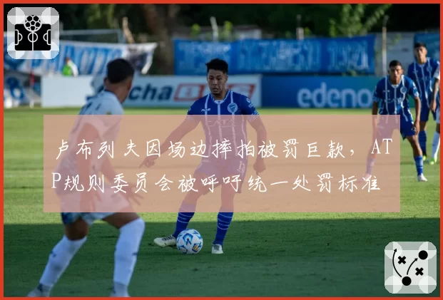 卢布列夫因场边摔拍被罚巨款，ATP规则委员会被呼吁统一处罚标准