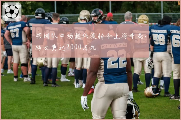 深圳队中场戴伟浚转会上海申花，转会费达2000万元
