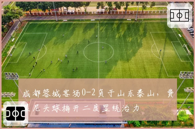 成都蓉城客场0-2负于山东泰山，费莱尼头球梅开二度显统治力